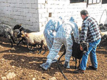 ypaithros-chora-efimerida-gia-tin-agrotiki-anaptyxi-kai-oikonomia-376148