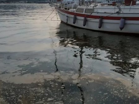 ypaithros-chora-efimerida-gia-tin-agrotiki-anaptyxi-kai-oikonomia-376187