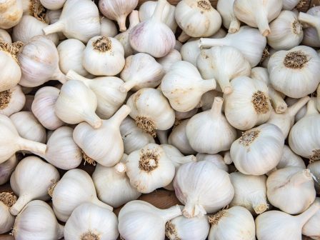 ypaithros-chora-efimerida-gia-tin-agrotiki-anaptyxi-kai-oikonomia-374574