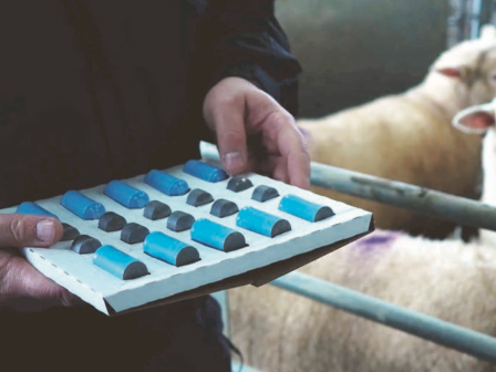 Στομαχικοί βόλοι: Για δέσμευση του ΥΠΑΑΤ έναντι της DG AGRI καθολικής εφαρμογής έως τον Μάιο του 2026 κάνει λόγο η ΠΕΚΔΥ