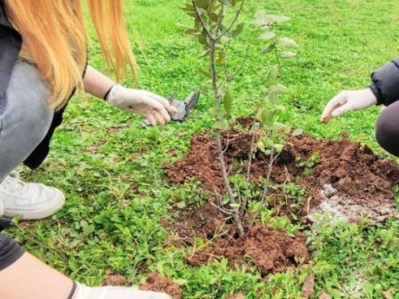 ypaithros-chora-efimerida-gia-tin-agrotiki-anaptyxi-kai-oikonomia-374663