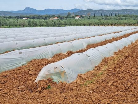 epitrapezia-elia-paramenoun-ta-pligmata-apo-dasmous-trab-kai-symfonia-ee-merkosour-375527