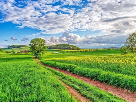 ypaithros-chora-efimerida-gia-tin-agrotiki-anaptyxi-kai-oikonomia-375656