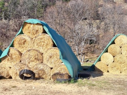 stomachikoi-voloi-gia-desmefsi-tou-ypaat-enanti-tis-dg-agri-katholikis-efarmogis-eos-ton-maio-tou-2026-kanei-logo-i-pekdy-374897