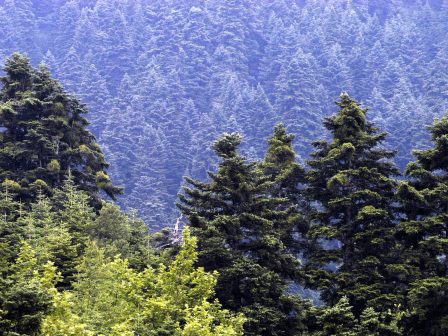 ypaithros-chora-efimerida-gia-tin-agrotiki-anaptyxi-kai-oikonomia-375983