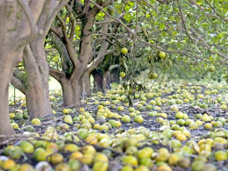 Τι διαδέχεται το Μέτρο 23 για τις αγροτικές καταστροφές την περίοδο 2026-2027
