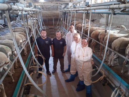 d-angelaki-i-perifereia-attikis-me-stratigiki-kai-amesa-antanaklastika-diasfalizei-tin-prostasia-katanaloton-kai-ktinotrofon-paragogon-376538