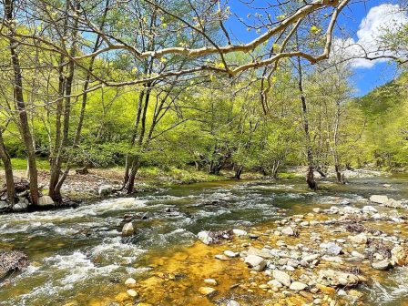 ypaithros-chora-efimerida-gia-tin-agrotiki-anaptyxi-kai-oikonomia-376288