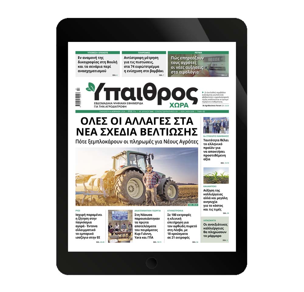 544-paraskevi-2-apriliou-2026-376319