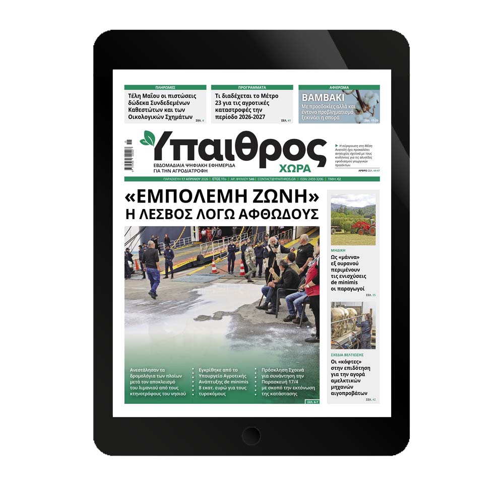 546-paraskevi-17-apriliou-2026-377074