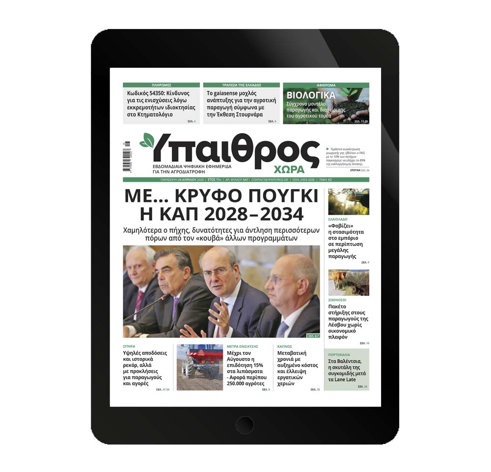 547-paraskevi-24-apriliou-2026-377513