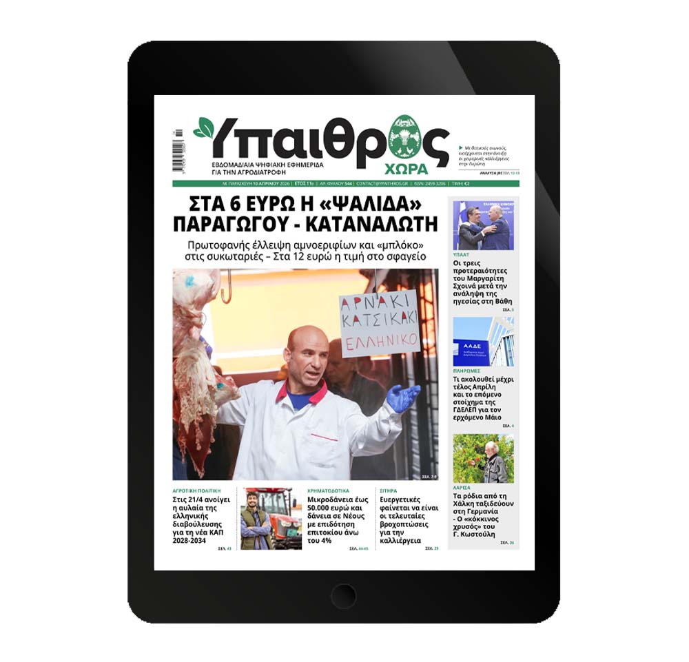 545-paraskevi-10-apriliou-2026-376918