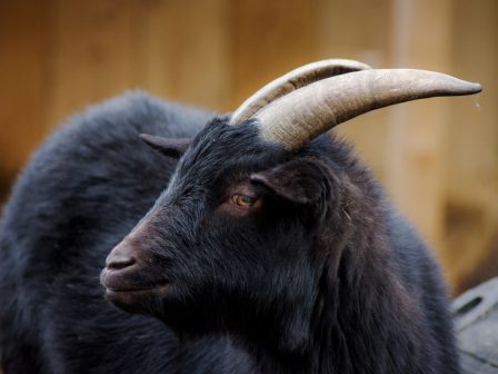 ypaithros-chora-efimerida-gia-tin-agrotiki-anaptyxi-kai-oikonomia-376610