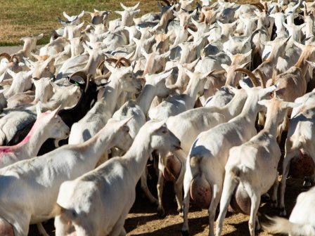 ypaithros-chora-efimerida-gia-tin-agrotiki-anaptyxi-kai-oikonomia-376303