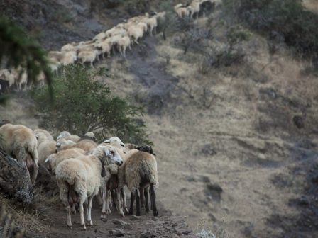 ypaithros-chora-efimerida-gia-tin-agrotiki-anaptyxi-kai-oikonomia-376676