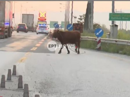 ypaithros-chora-efimerida-gia-tin-agrotiki-anaptyxi-kai-oikonomia-377224