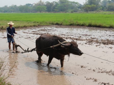 ypaithros-chora-efimerida-gia-tin-agrotiki-anaptyxi-kai-oikonomia-376829