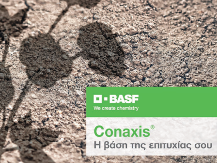 adeia-gia-laiki-agora-se-5-meres-me-mono-dyo-dikaiologitika-yposchetai-o-theodorikakos-377095