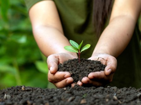 ypaithros-chora-efimerida-gia-tin-agrotiki-anaptyxi-kai-oikonomia-377839