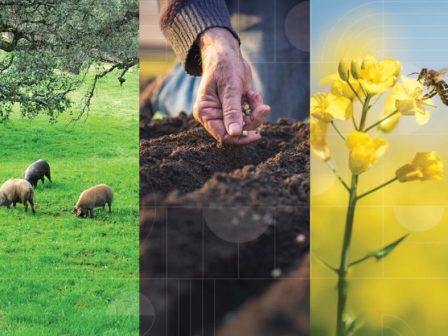 ypaithros-chora-efimerida-gia-tin-agrotiki-anaptyxi-kai-oikonomia-377842