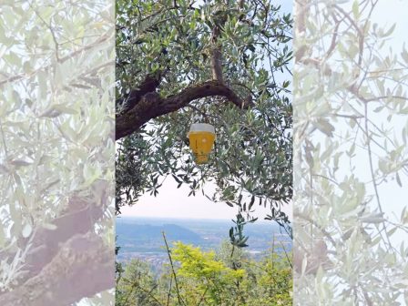 ypaithros-chora-efimerida-gia-tin-agrotiki-anaptyxi-kai-oikonomia-377115