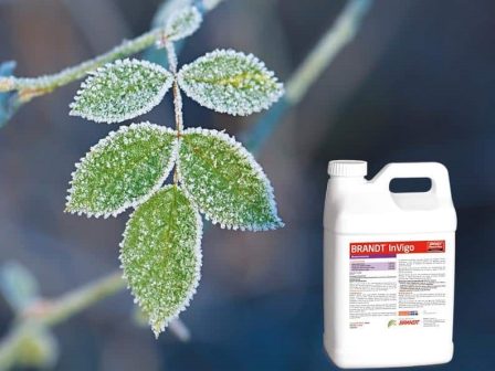 ypaithros-chora-efimerida-gia-tin-agrotiki-anaptyxi-kai-oikonomia-376238