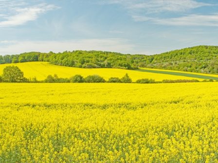 ypaithros-chora-efimerida-gia-tin-agrotiki-anaptyxi-kai-oikonomia-376861