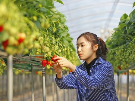 ypaithros-chora-efimerida-gia-tin-agrotiki-anaptyxi-kai-oikonomia-377616