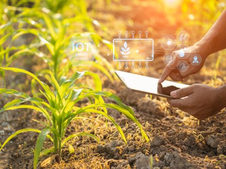 ypaithros-chora-efimerida-gia-tin-agrotiki-anaptyxi-kai-oikonomia-377619