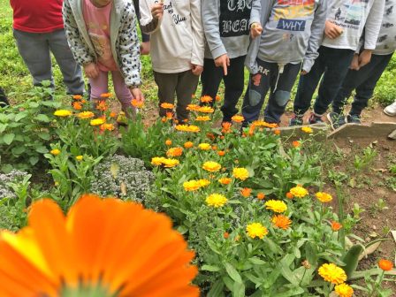 ypaithros-chora-efimerida-gia-tin-agrotiki-anaptyxi-kai-oikonomia-376474