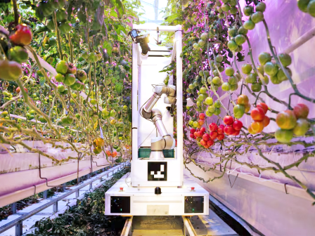 ypaithros-chora-efimerida-gia-tin-agrotiki-anaptyxi-kai-oikonomia-376449