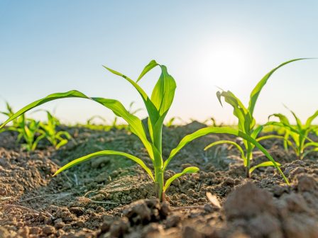 ypaithros-chora-efimerida-gia-tin-agrotiki-anaptyxi-kai-oikonomia-376639