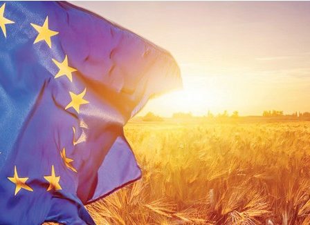 ypaithros-chora-efimerida-gia-tin-agrotiki-anaptyxi-kai-oikonomia-376841