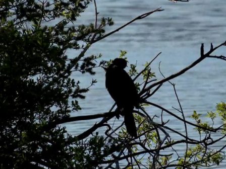 ypaithros-chora-efimerida-gia-tin-agrotiki-anaptyxi-kai-oikonomia-376748