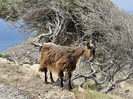 ypaithros-chora-efimerida-gia-tin-agrotiki-anaptyxi-kai-oikonomia-376892