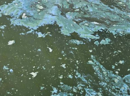 ypaithros-chora-efimerida-gia-tin-agrotiki-anaptyxi-kai-oikonomia-377184