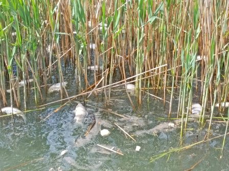 ypaithros-chora-efimerida-gia-tin-agrotiki-anaptyxi-kai-oikonomia-377594