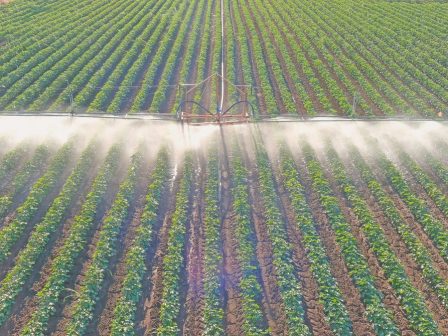 ypaithros-chora-efimerida-gia-tin-agrotiki-anaptyxi-kai-oikonomia-377436