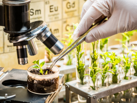 ypaithros-chora-efimerida-gia-tin-agrotiki-anaptyxi-kai-oikonomia-377394