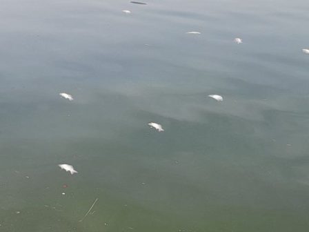 ypaithros-chora-efimerida-gia-tin-agrotiki-anaptyxi-kai-oikonomia-377004