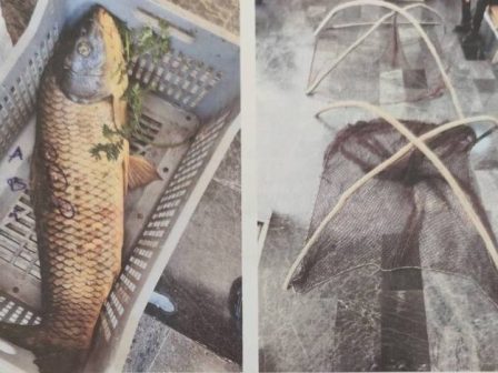 ypaithros-chora-efimerida-gia-tin-agrotiki-anaptyxi-kai-oikonomia-377319