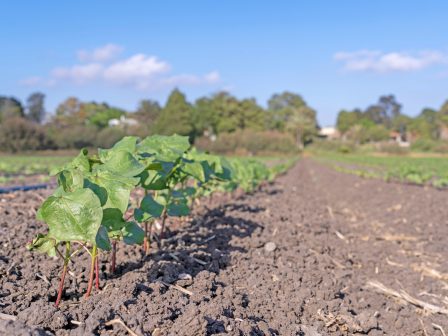 ypaithros-chora-efimerida-gia-tin-agrotiki-anaptyxi-kai-oikonomia-377190