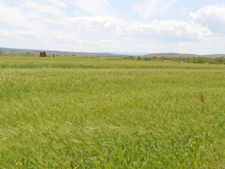 ypaithros-chora-efimerida-gia-tin-agrotiki-anaptyxi-kai-oikonomia-377922