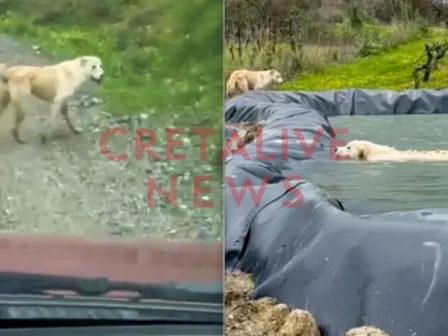 ypaithros-chora-efimerida-gia-tin-agrotiki-anaptyxi-kai-oikonomia-376598