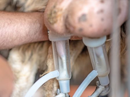 ypaithros-chora-efimerida-gia-tin-agrotiki-anaptyxi-kai-oikonomia-377314