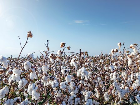 ypaithros-chora-efimerida-gia-tin-agrotiki-anaptyxi-kai-oikonomia-376745