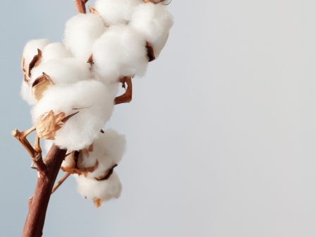 ypaithros-chora-efimerida-gia-tin-agrotiki-anaptyxi-kai-oikonomia-377428