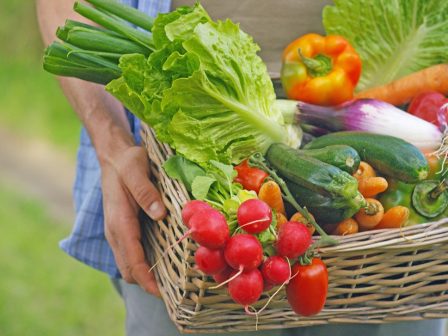 ypaithros-chora-efimerida-gia-tin-agrotiki-anaptyxi-kai-oikonomia-376893