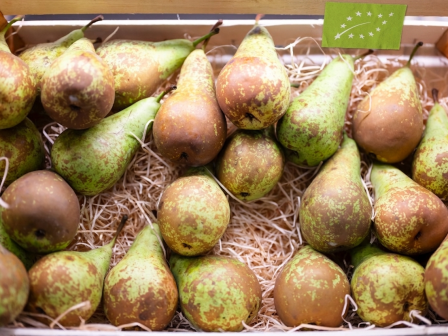 ypaithros-chora-efimerida-gia-tin-agrotiki-anaptyxi-kai-oikonomia-377835