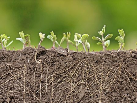 ypaithros-chora-efimerida-gia-tin-agrotiki-anaptyxi-kai-oikonomia-377848